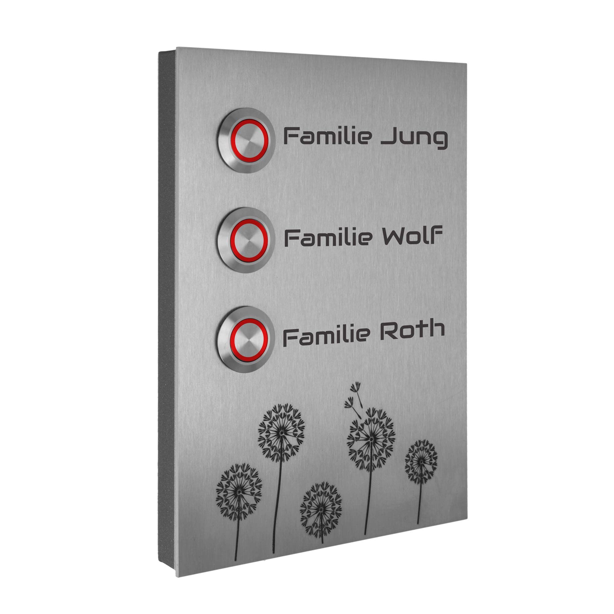 Jung Edelstahl Design Dreifamilienhaus Aufputz Türklingel Kiel1-3AG Motiv Pusteblume Klingelschild 17x12 cm Klingel Mehrfamilienhaus