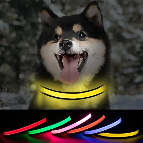 Glow - Collar LED para perro, recargable por USB, impermeable, luz nocturna para perros pequeños (amarillo, paquete de 1, S)
