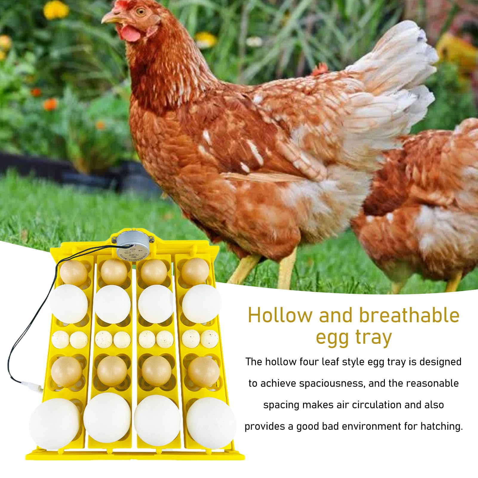 Bandeja de Volteo de Huevos, Bandeja de Incubadora de Huevos con Volteo Automático de Huevos Potente Motor Transpirable Multifunción Mejora la Tasa de Eclosión para 16 Huevos de