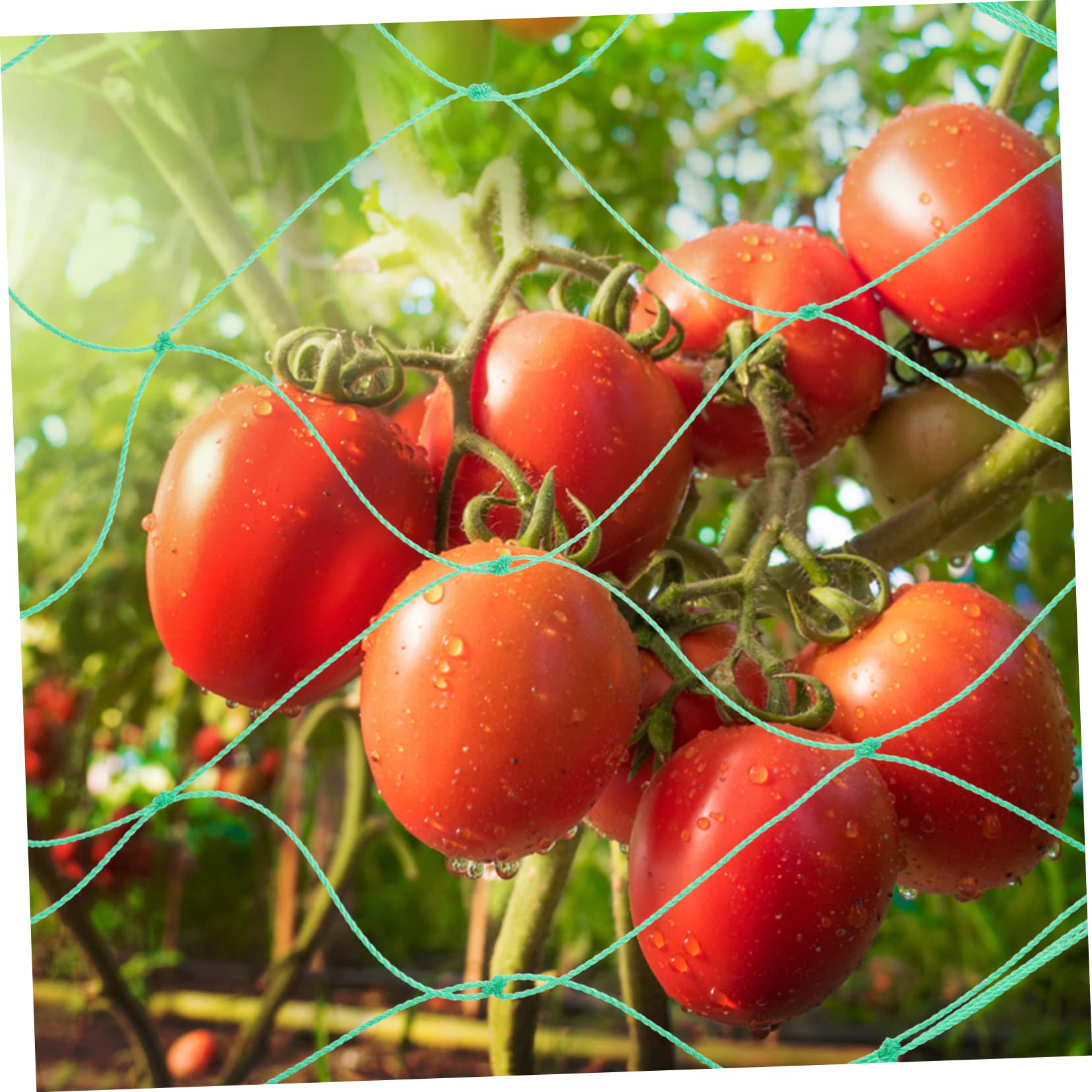 3 Stück Gartennetz aus Nylon für Obstpflanzen und Kletterpflanzen