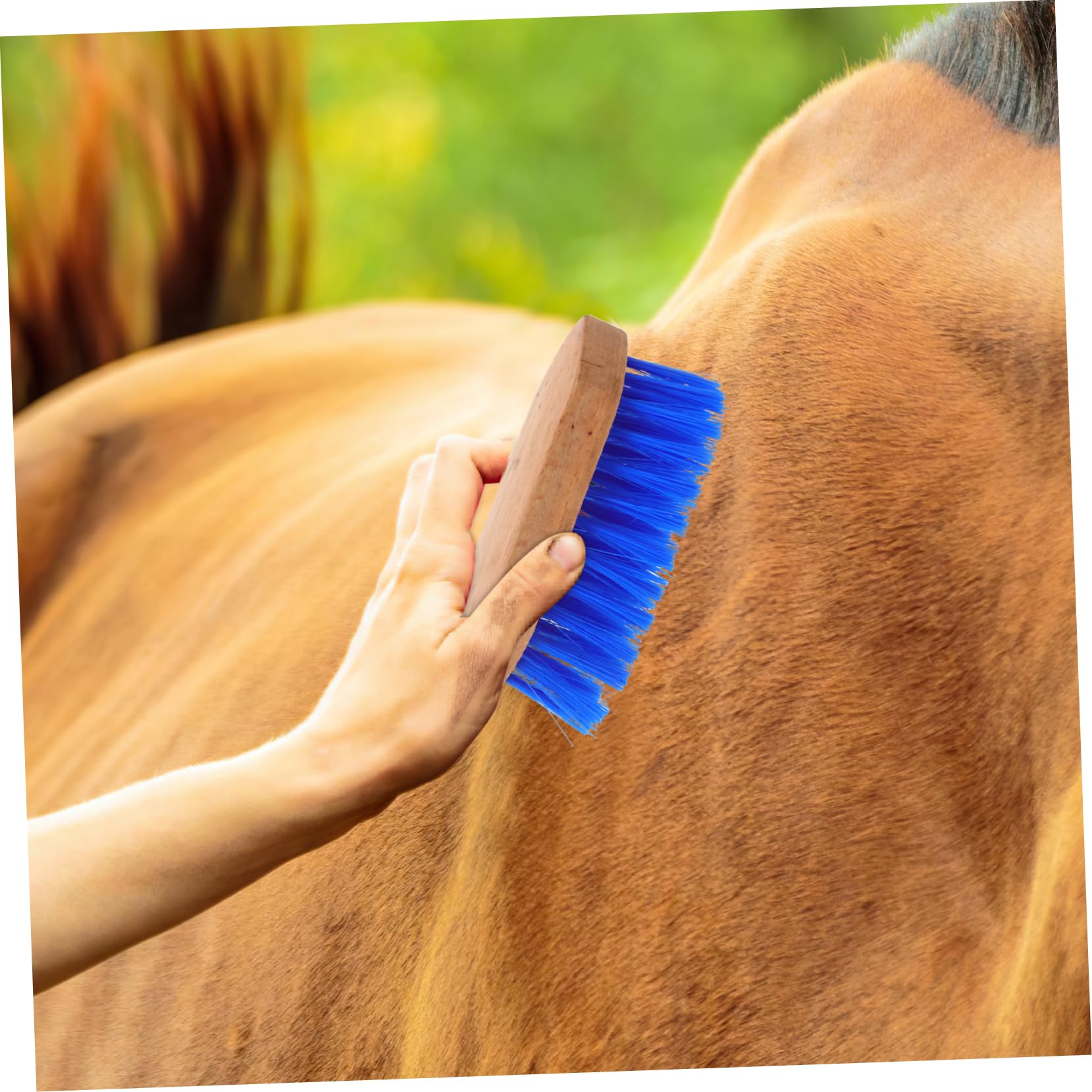Gatuida 5piezas Cepillo De Limpieza Para Caballos Cerdas Rígidas y Mango Antideslizante Herramienta De Cuidado y Belleza Para Caballos y Animales Para Azul