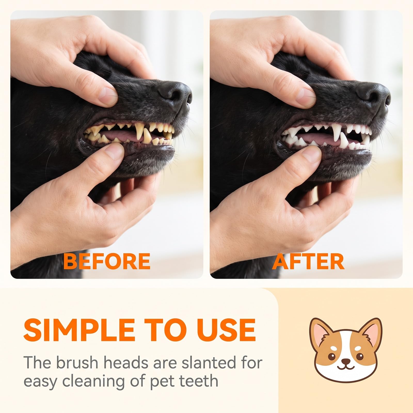 Lot de 200 brosses à dents pour chien à double tête