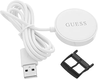 guess c1001g2