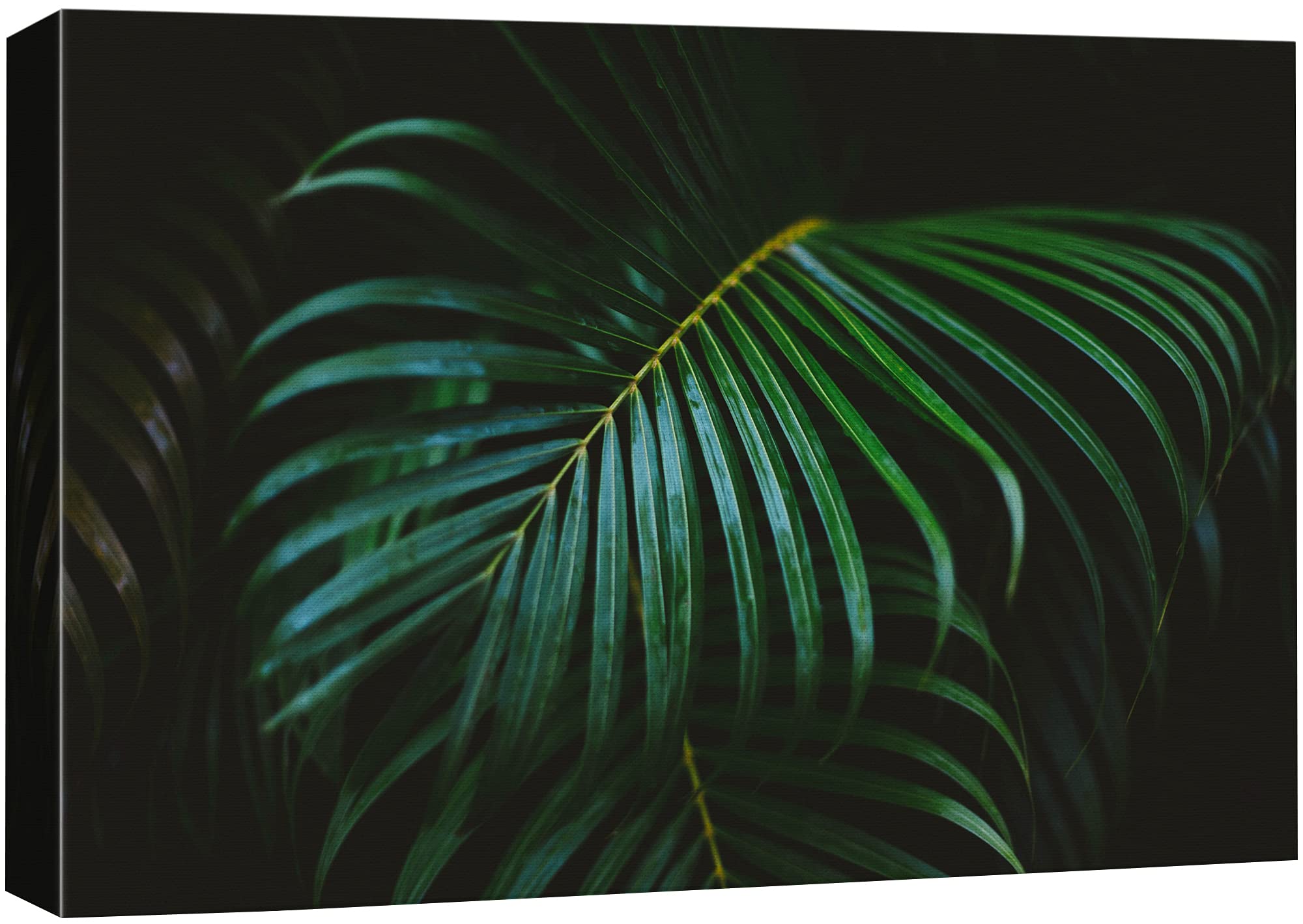NWT Canvas Print Wall Art Jungle Palm Leaves on Black Background Nature Wilderness Illustrations Modern Art Rustic Scenic Colorful Multicolor Ultra for Living Room, Bedroom, Office - 16"x24"