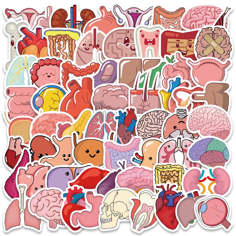 Cute Cartoon Organs Stickers for Kids Teens Adults, 65PCS Medical Body Organ Anatomy Stickers Pack for Student Nurse, Waterproof Vinyl Sticker Bulk