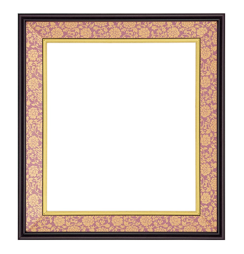 額縁 tam Amazon.com - 大額(Daigaku) 4911 Frame, 色紙サイズ, TAME/Engine DONCE