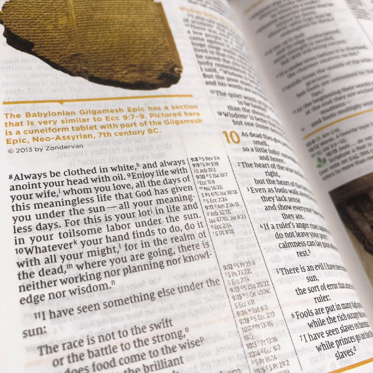 Holy Bible: New International Version, Study Bible