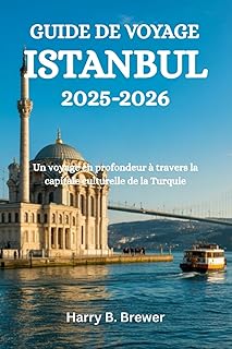 GUIDE DE VOYAGE ISTANBUL 2025-2026: Un voyage en profondeur à travers la capitale culturelle de la Turquie
