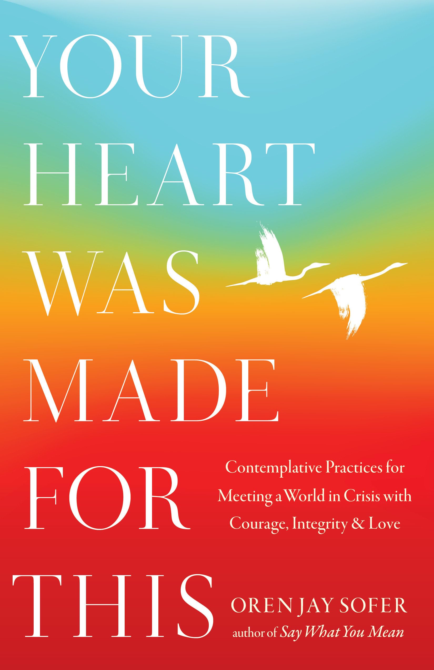 Your Heart Was Made For This: Contemplative Practices for Meeting a World in Cri