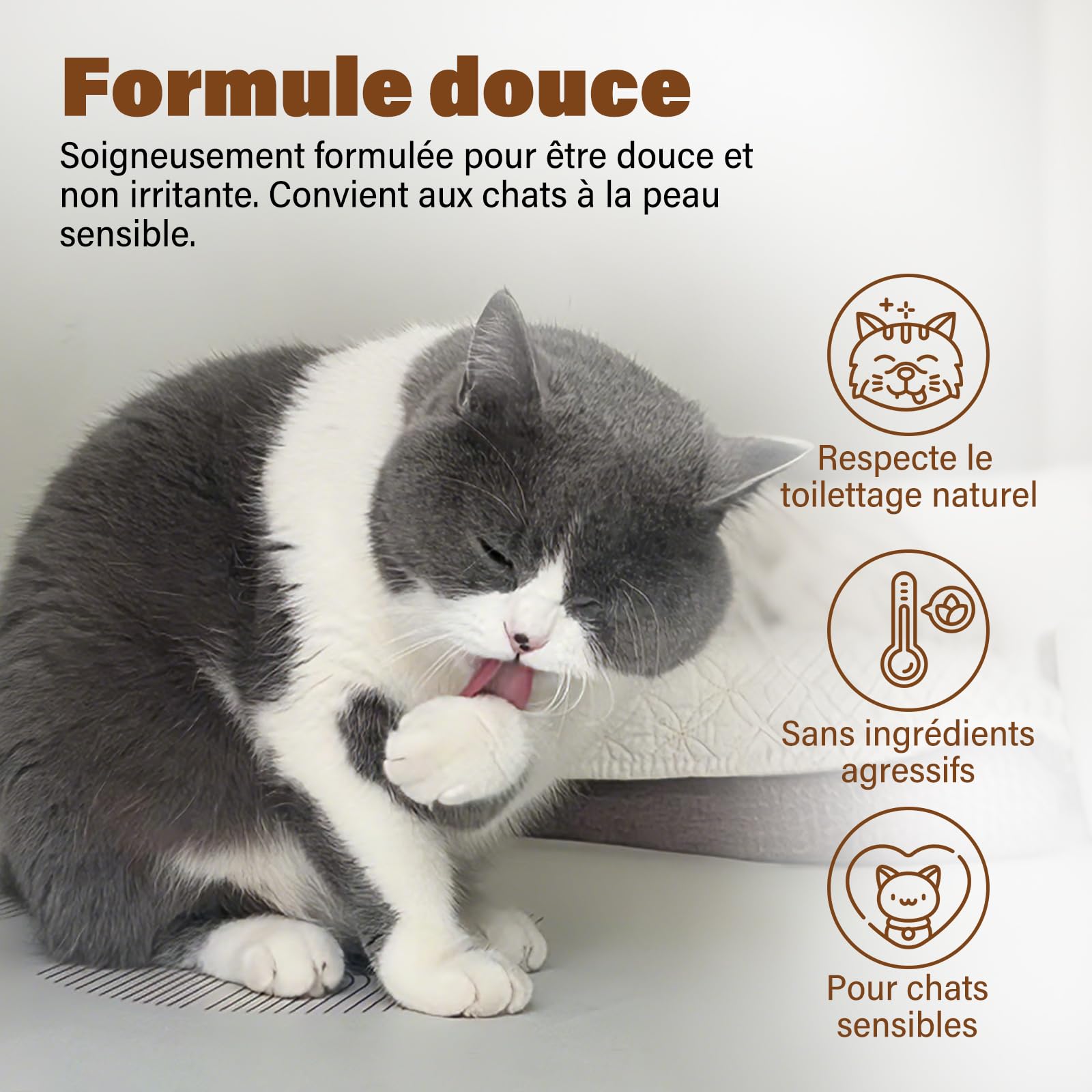 Shampoing Sec pour Chats – 200 ML, Parfum Noix de Coco, pH Neutre pour la Peau, nettoie et Prend Soin en Douceur, démêle et Hydrate – Convient aux Peaux sensibles