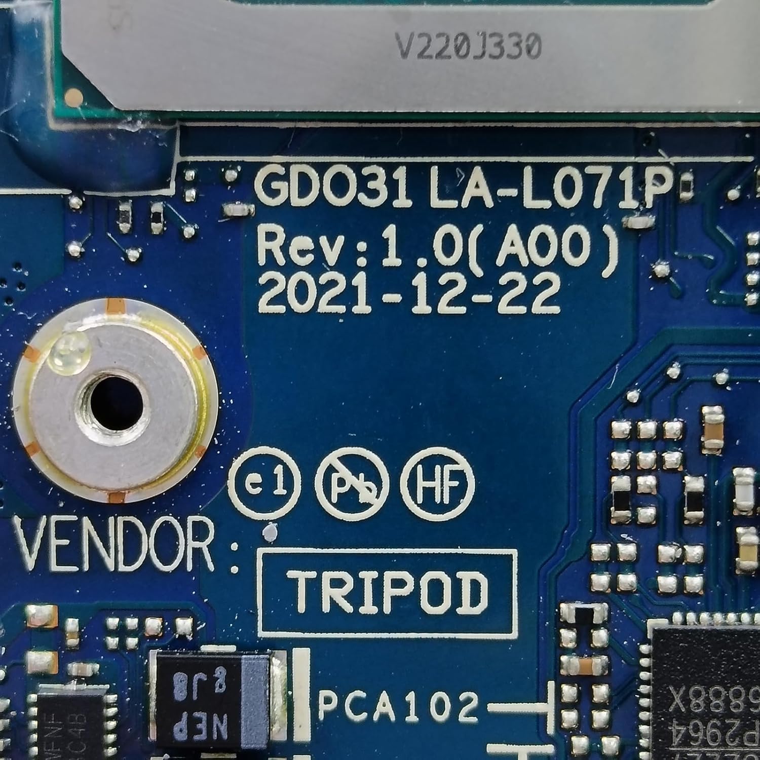 ポケモンカードブラッキーSAR テラスタルフェス ポケモンカード テラス