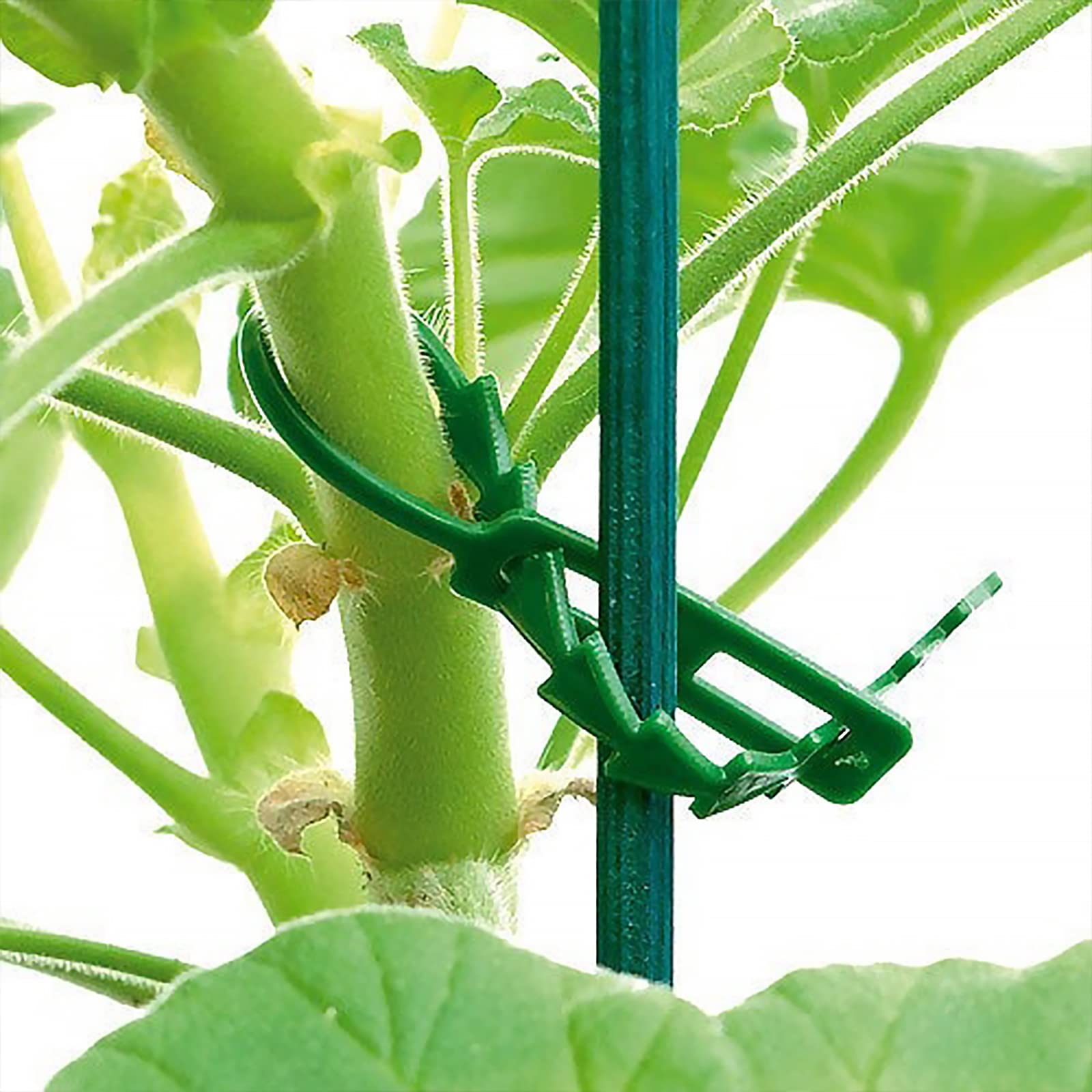50 Kleine Tuinclips Voor Tomaten, Rozen, Komkommers En Andere Klimplanten Stabiele Klemmen Voor Het Bevestigen Van Klimplanten