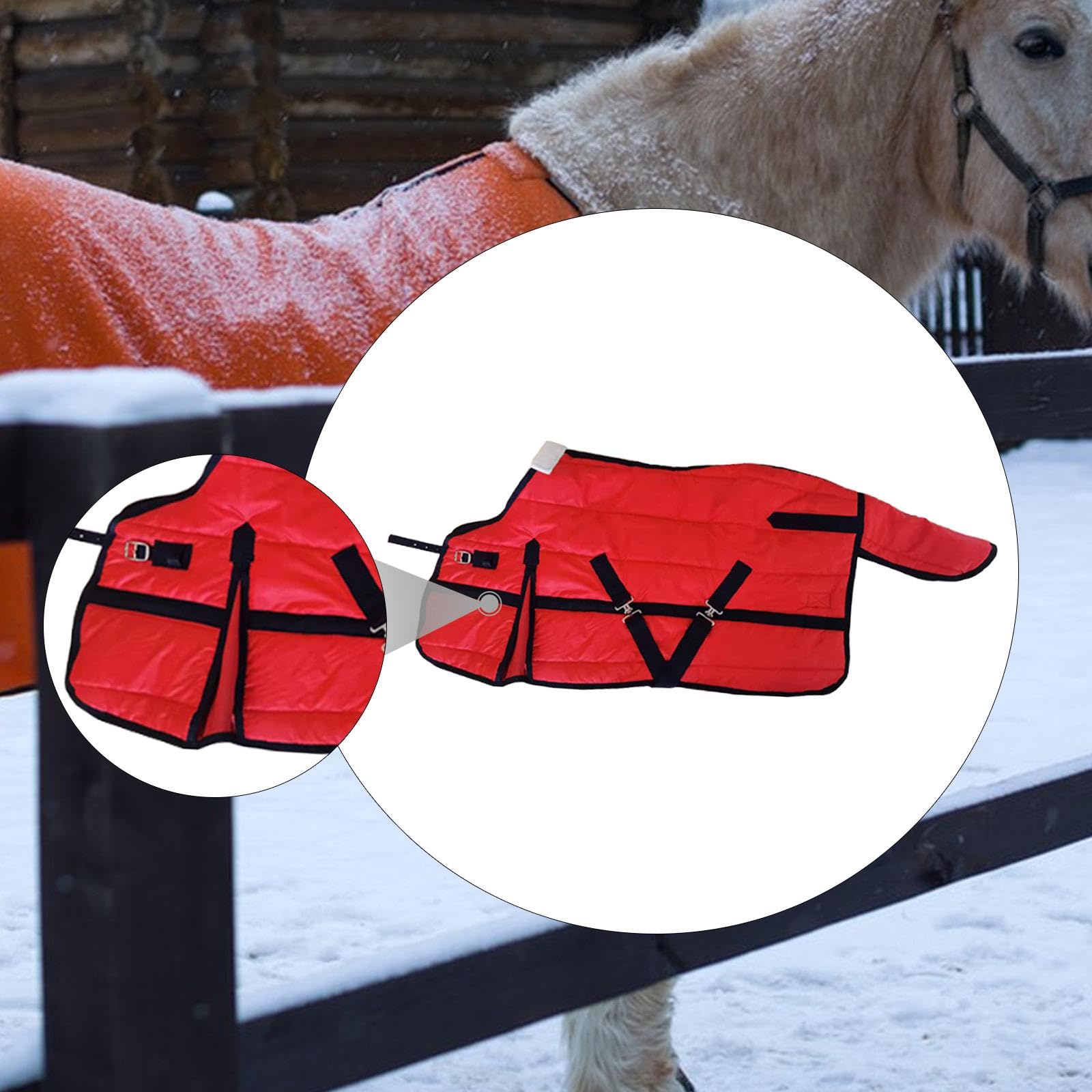 Qianly Manta para Caballo Ropa de Invierno Impermeable Transpirable Protección Térmica en Tela Oxford Adecuada para Actividades Al Aire Libre Y Entrenamiento