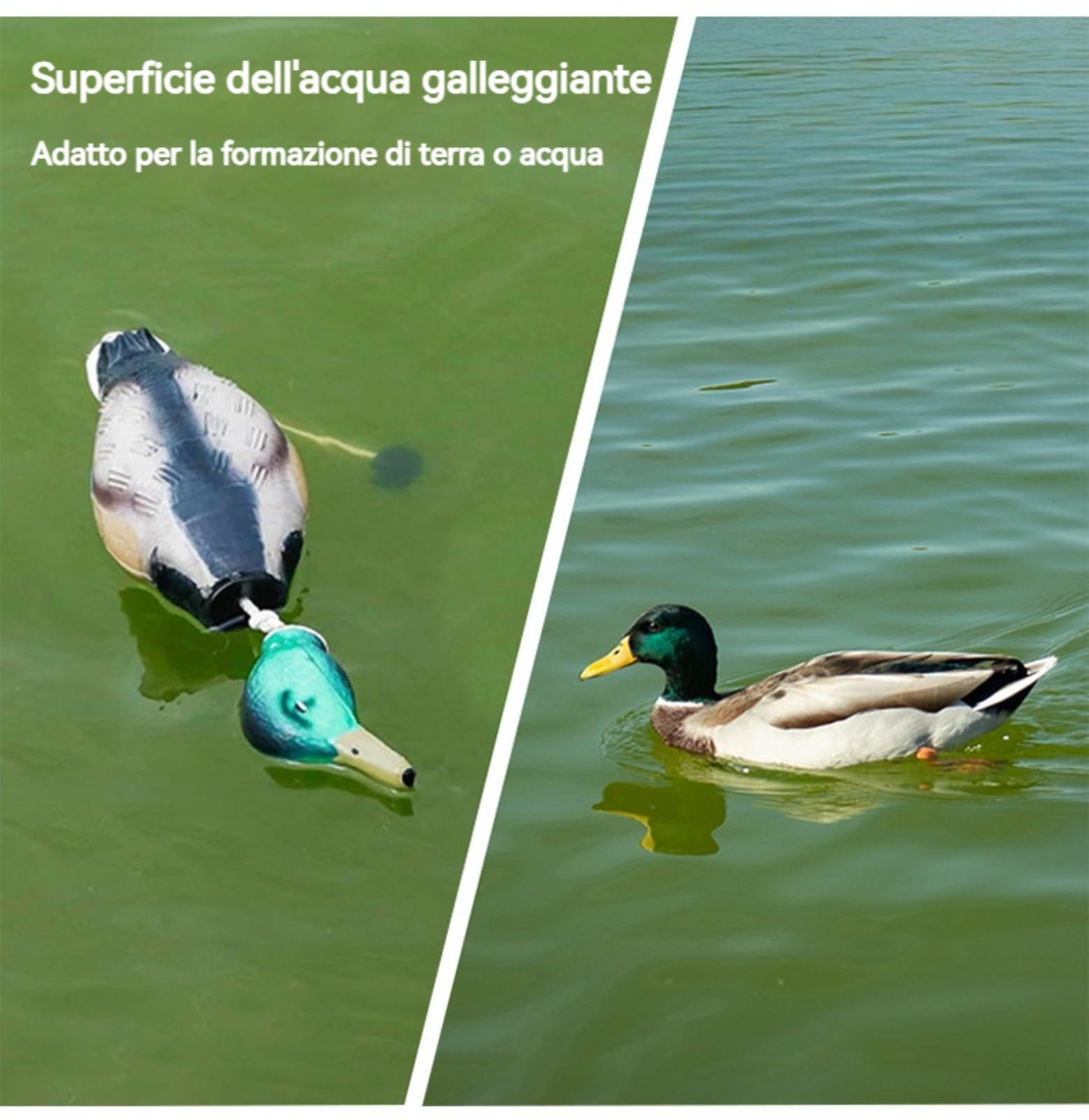 Dummy Duck Hundetraining Retrieve Schnuller Verschleißfest und bissfest, wasserdicht und schwimmfähig, robust und langlebig, geeignet für das Training von Welpen oder erwachsenen Jagdhunden