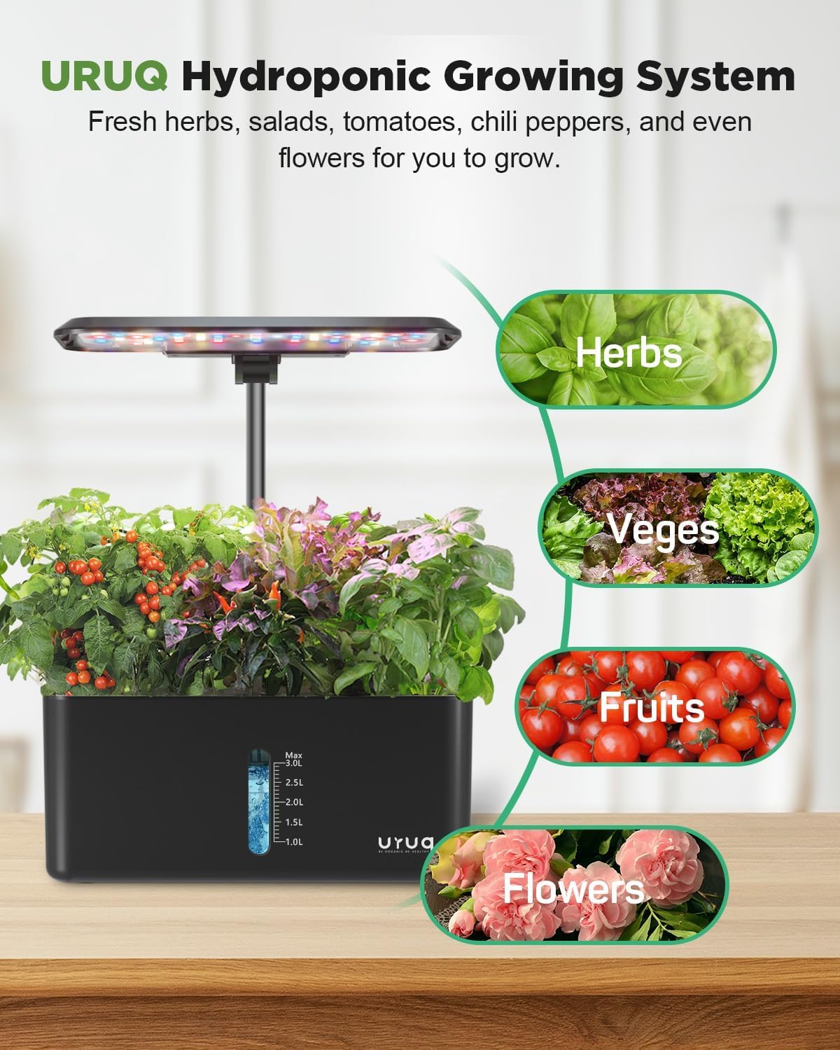 URUQ Système de culture hydroponique de jardin : 8 gousses de jardin d'herbes aromatiques d'intérieur avec lumière de croissance Kit de germination silencieuse automatique hydroponique réglable en