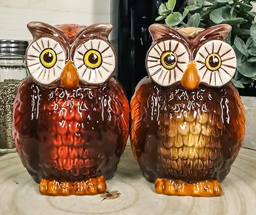 Ebros Gift Wisdom Of The Woods Great Horned Brown Owls with Wide Round Eyes - Juego de figuras de cerámica para saleros y pimenteros de 3.5 pulgadas