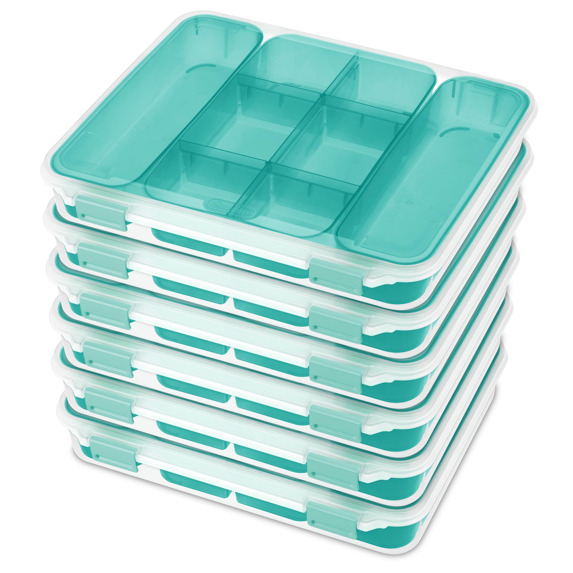 14028606 Divided Case, Clear Case & Blue Aquarium Latches w/Freshwater Tint Trays, 6-Pack