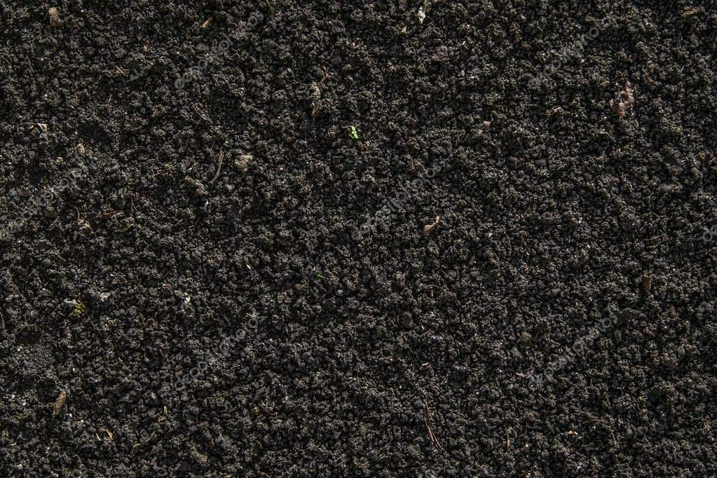 Kushals Black Soil for Plants Health Manure (KHET KI MIITI + KHHAD Soil)// Free Nurturing Flower Pot (5) (B0BH3HLXBY) Amazon Price History, Amazon Price Tracker