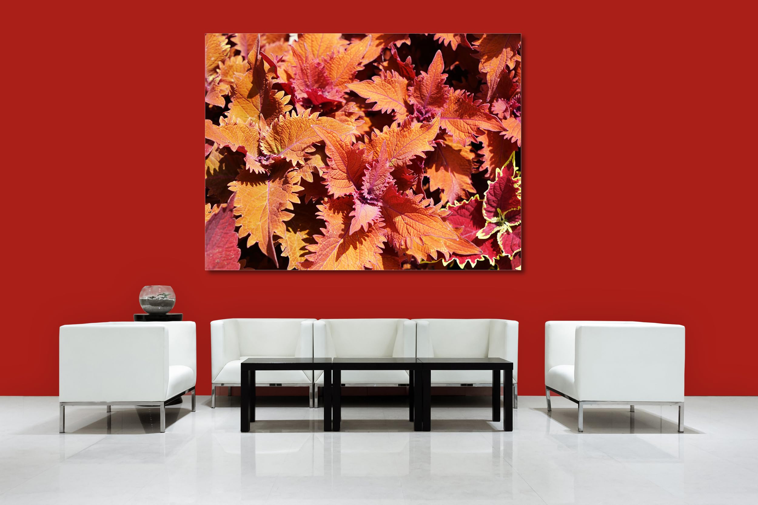 Glücksvilla - Foglie colorate (tela 2 cm, 60 x 40 cm) | varie misure - quadro murale orizzontale - giardino albero ramo pianta natura botanica campo prato