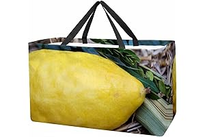 Large Reusable Lulav and Etrog CarryAll Bag