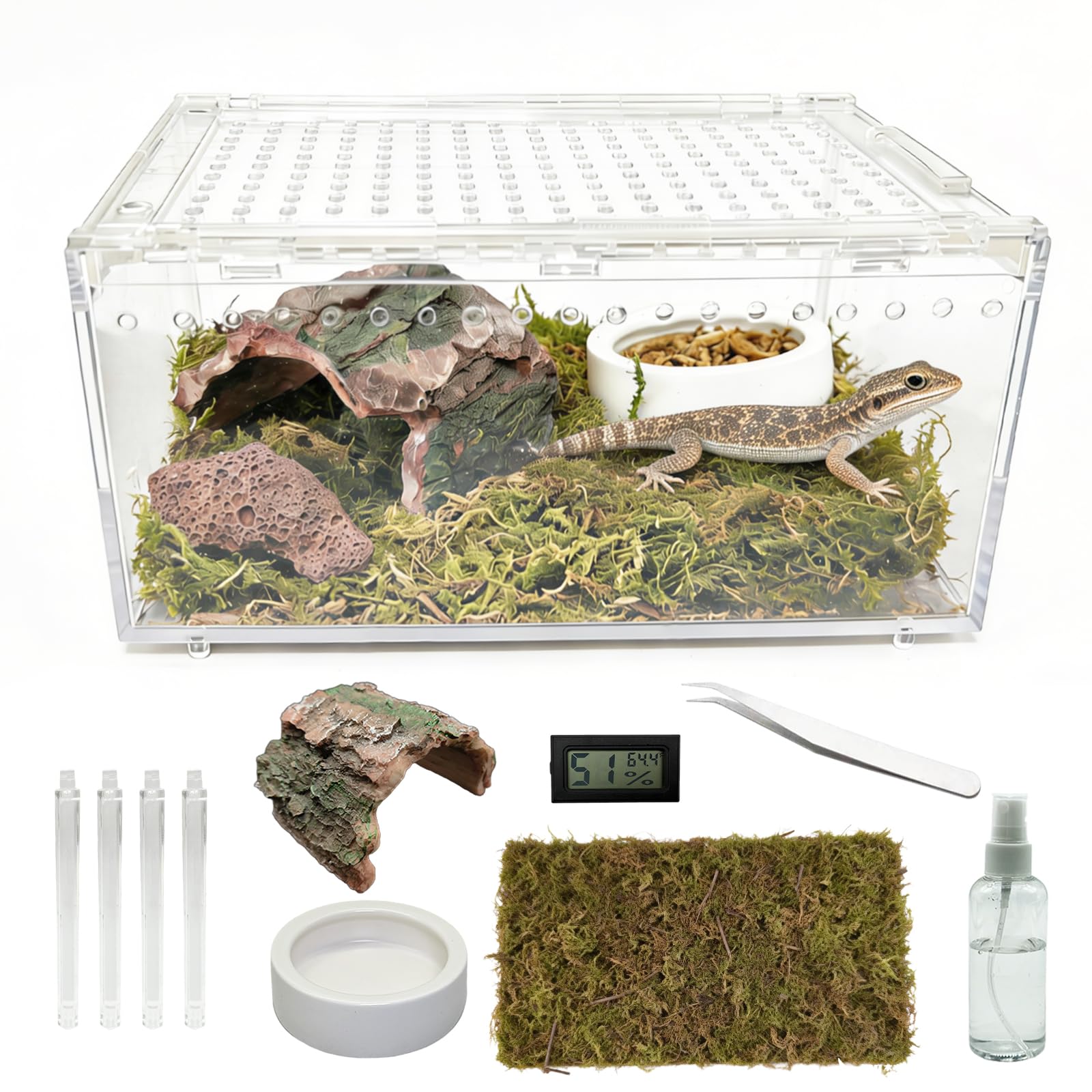 Photo 1 of Jwizyotr Reptile Terrarium Kit - Small Gecko/Tarantula Enclosure