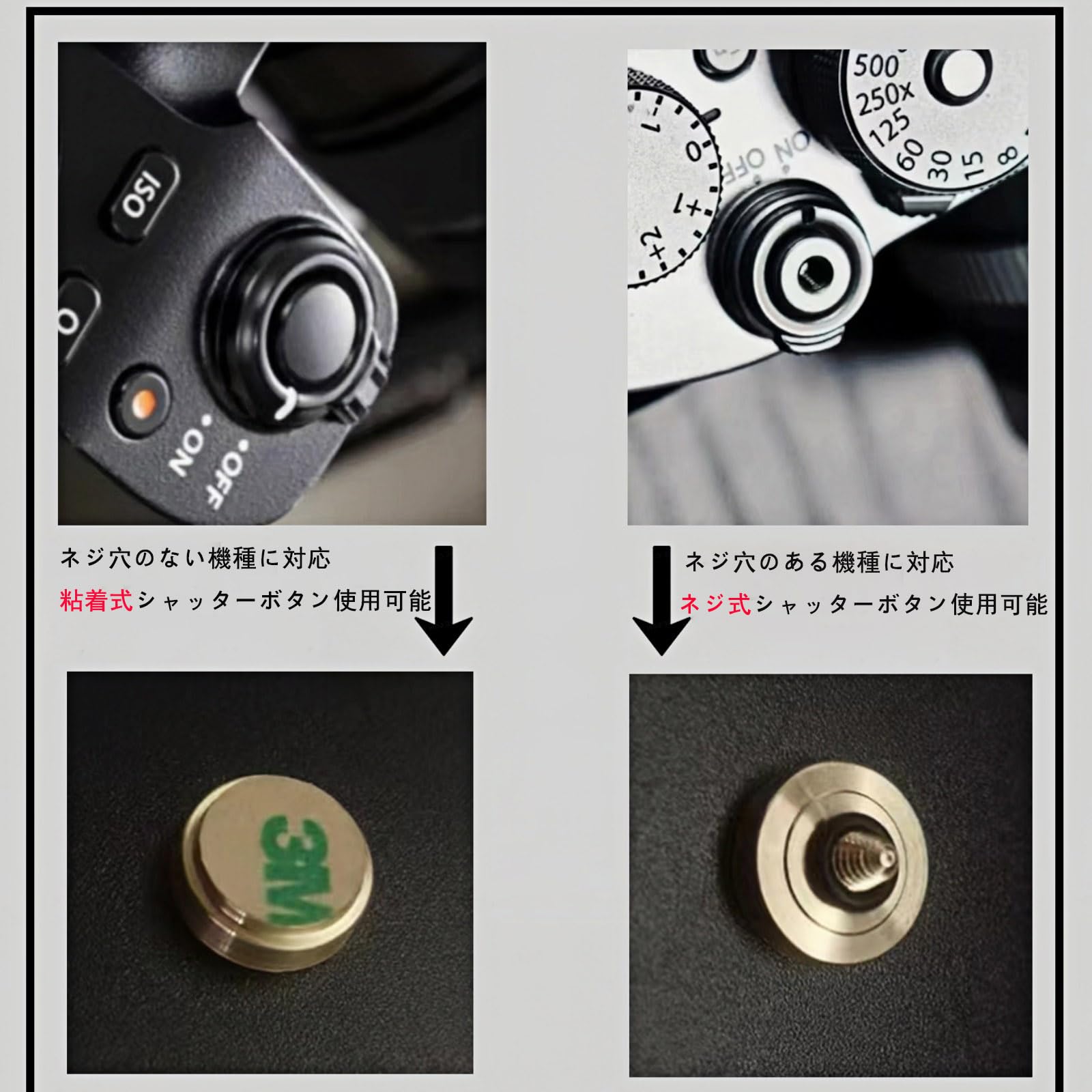 Amazon | 白銅製 シャッターボタンキャップ「龍」｜カメラ用 ドレス