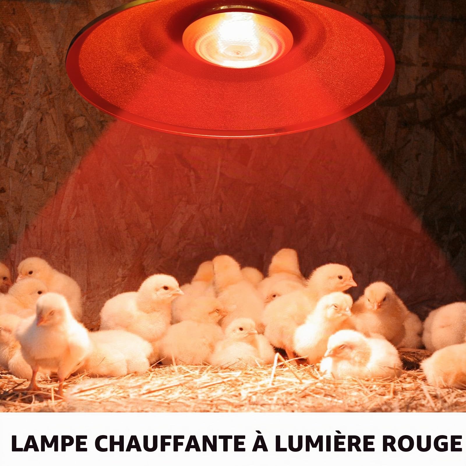 Lampe chauffante à lumière rouge, 150 W Chauffant Poussin pour poulaillers, lampe chauffante pour poulailler, lampe chauffante pour animaux, lampe infrarouge thermostatique automatique, pour poussins