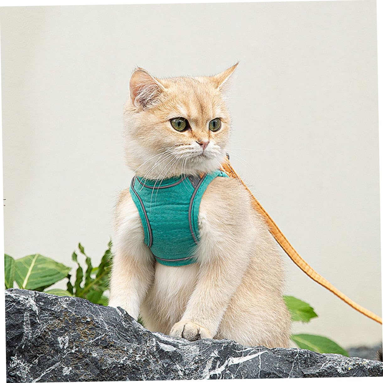 VANZACK 3sätze Katzen Geschirr Mit Für Haustiere Einstellbar Und Ausbruchsicher Reflektierendes Design Für Sicheres Für Kätzchen Und Kleine Hunde
