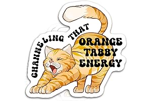 Transparent Water Game Orange Tabby Cat Energy Sticker Set