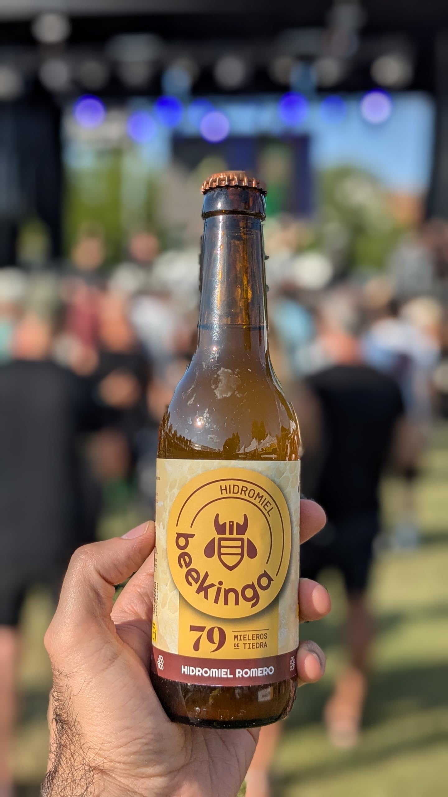 Beekinga Pack Degustación Hidromiel de 12 Botellines de 33cl con Hidromiel de Romero, Lavanda, Tostado y Frutos Rojos