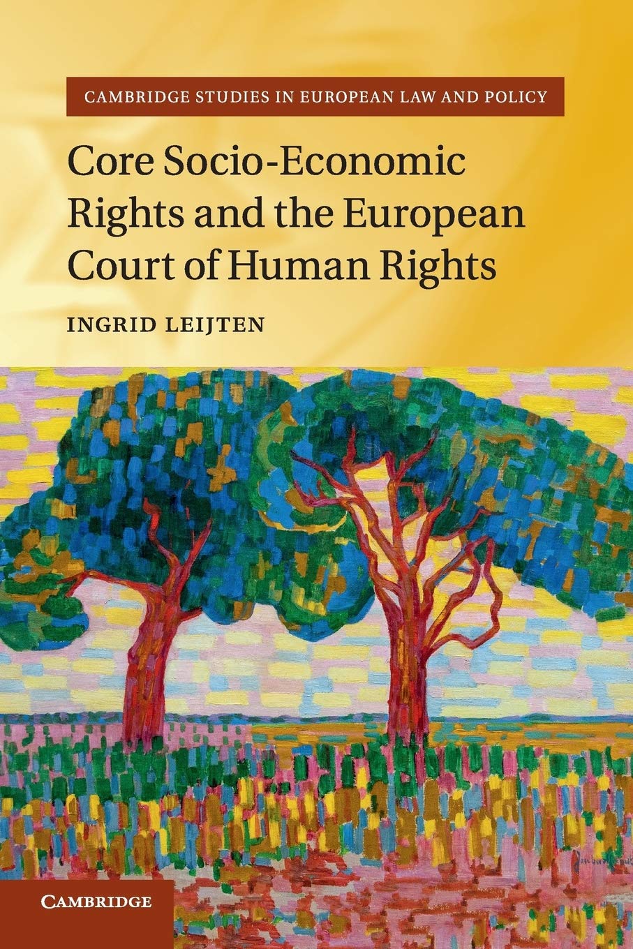 Core Socio-Economic Rights and the European Court of Human Rights (Cambridge Studies in European Law and Policy)