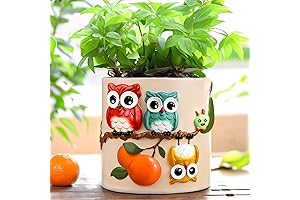 Charming Owl Plant Pots: Brighten Your Home with Quirky Greenery