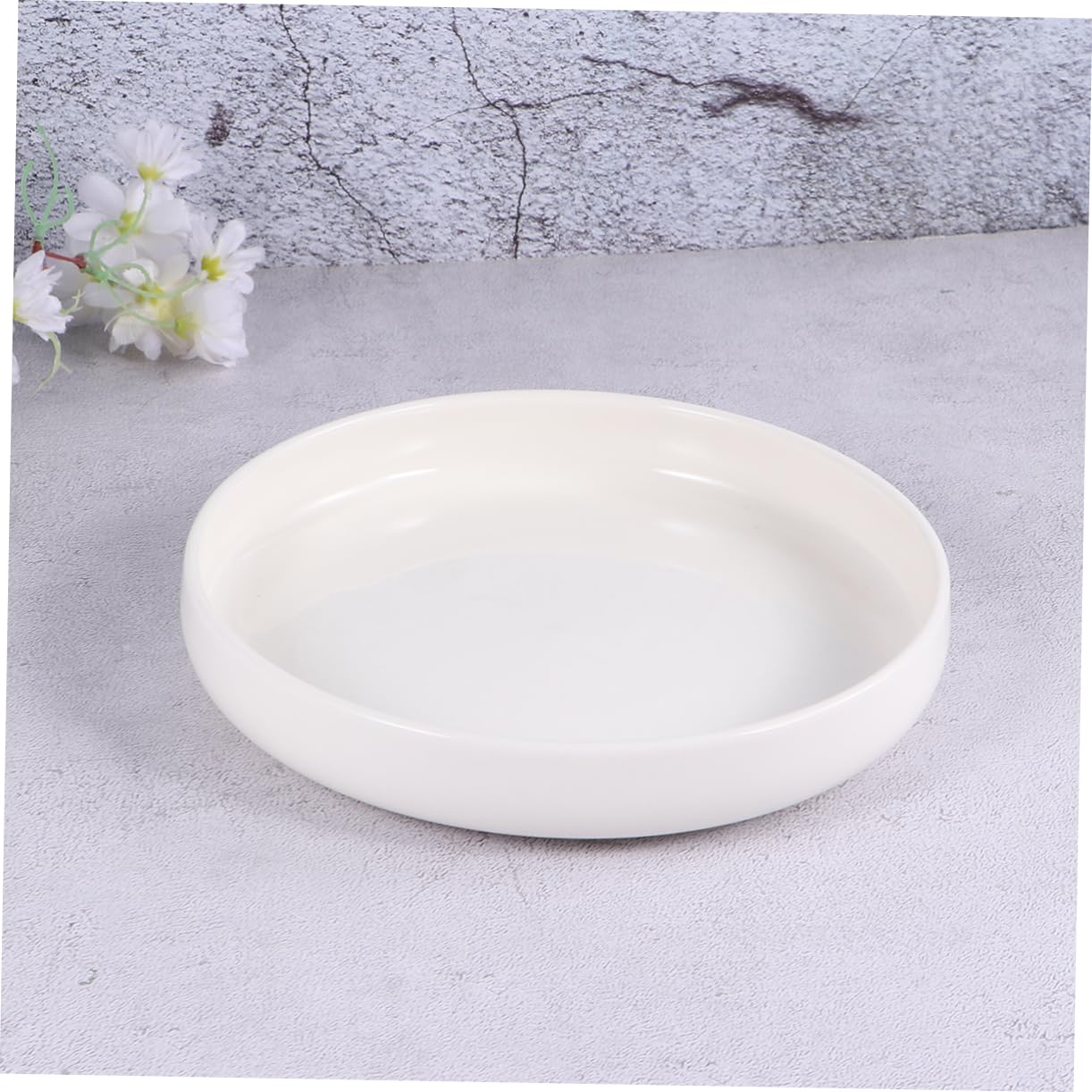 Milisten Ciotola per Rettili in Ceramica Bianca Leggera e Affidabile, Vaso Basso Adatto per Lucertole e Rane, per Mangiatoia per Tartarughe
