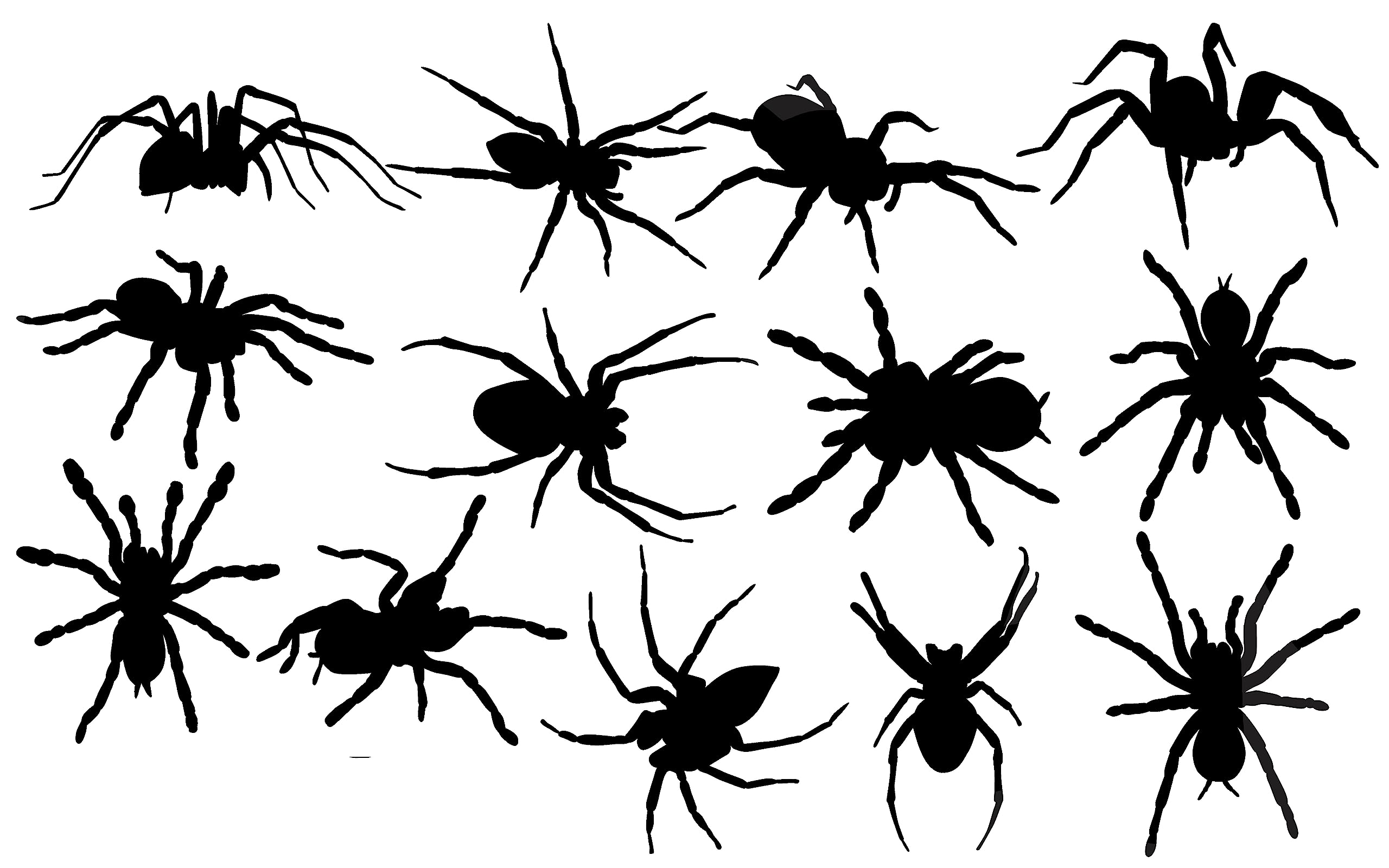 Spider/Tarantula Silhouette Sticker Pack - Car Bumper Sticker - Light Switch Sticker - Wall Decal - Scrapbook Stickers - Stickers for Adults - Fake Spider - Nursery Decor (Black)