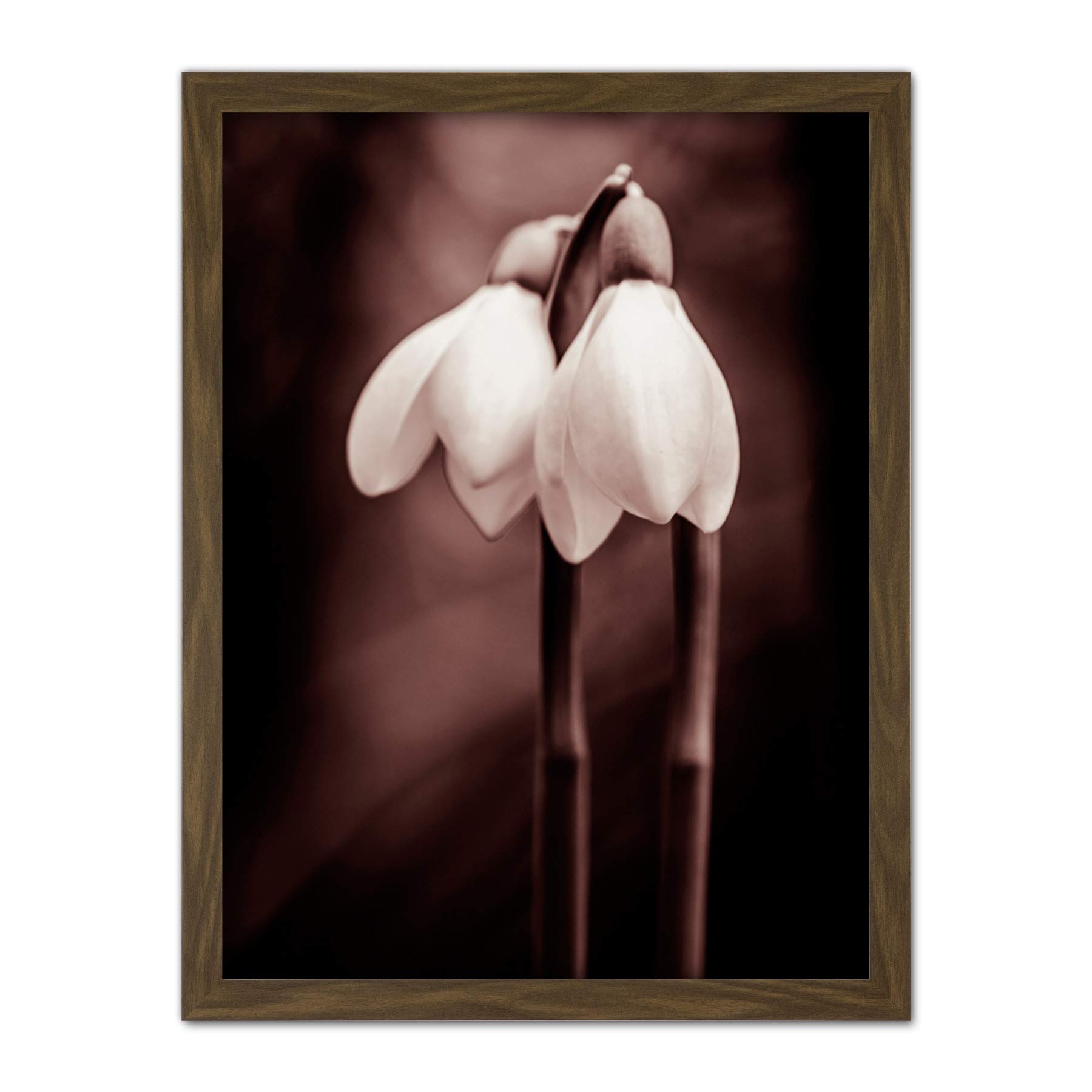 Wee Blue Coo Two Snowdrops Flowers Artwork Framed Wall Art Print 18X24 Inch