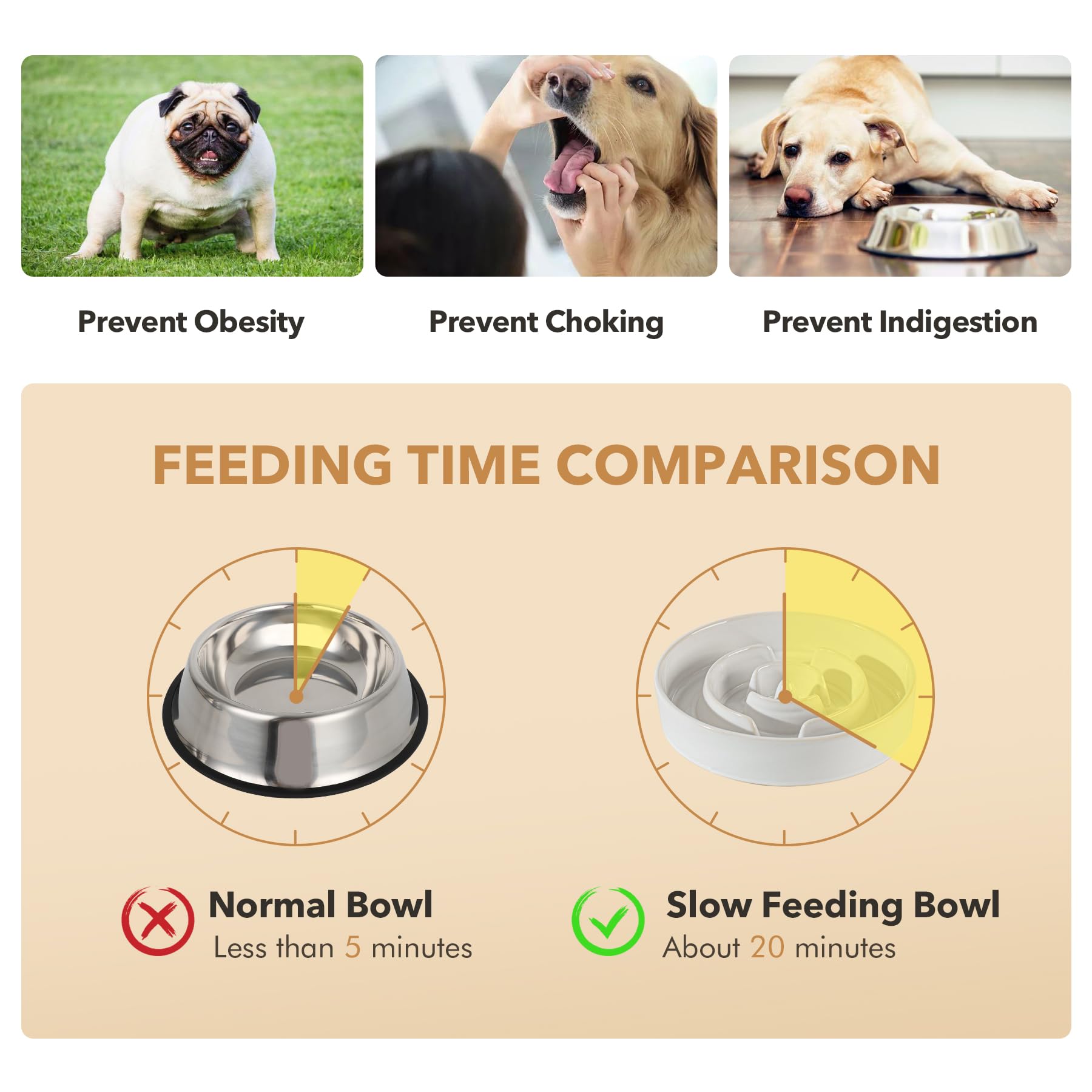 Havniva Ciotole per cani con alimentatore lento rialzato, set di