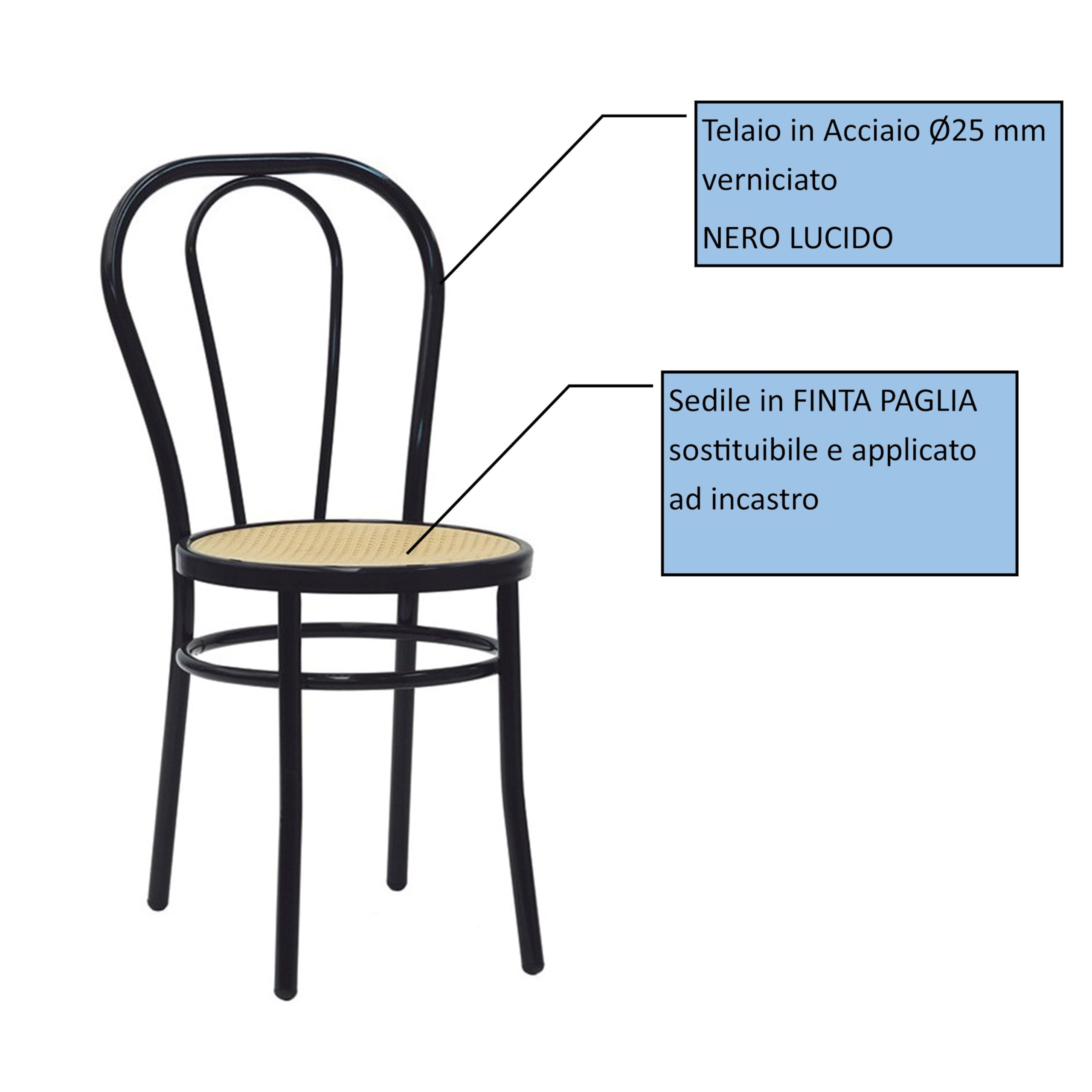 Generico Sedie Thonet Vienna Struttura in Ferro e Seduta in Finta Paglia Ideali per Cucina Bar Osteria e Ristorante Nero Lucido 2 pezzi