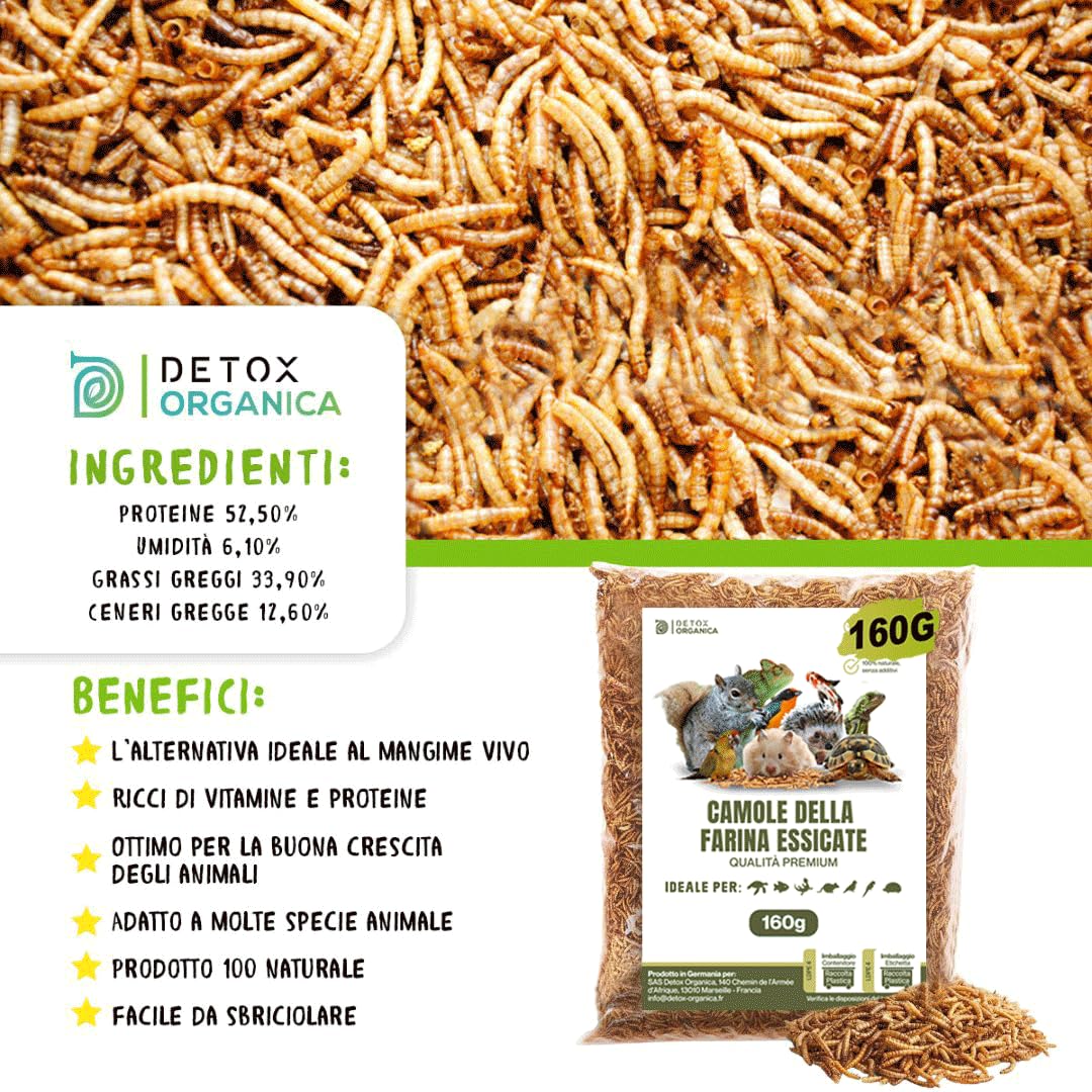 Detox Organica Camole della Farina Essiccate 160gr 1000ml Mangime per Uccelli Selvatici, Pesci, Tartarughe, Roditori, Rettili