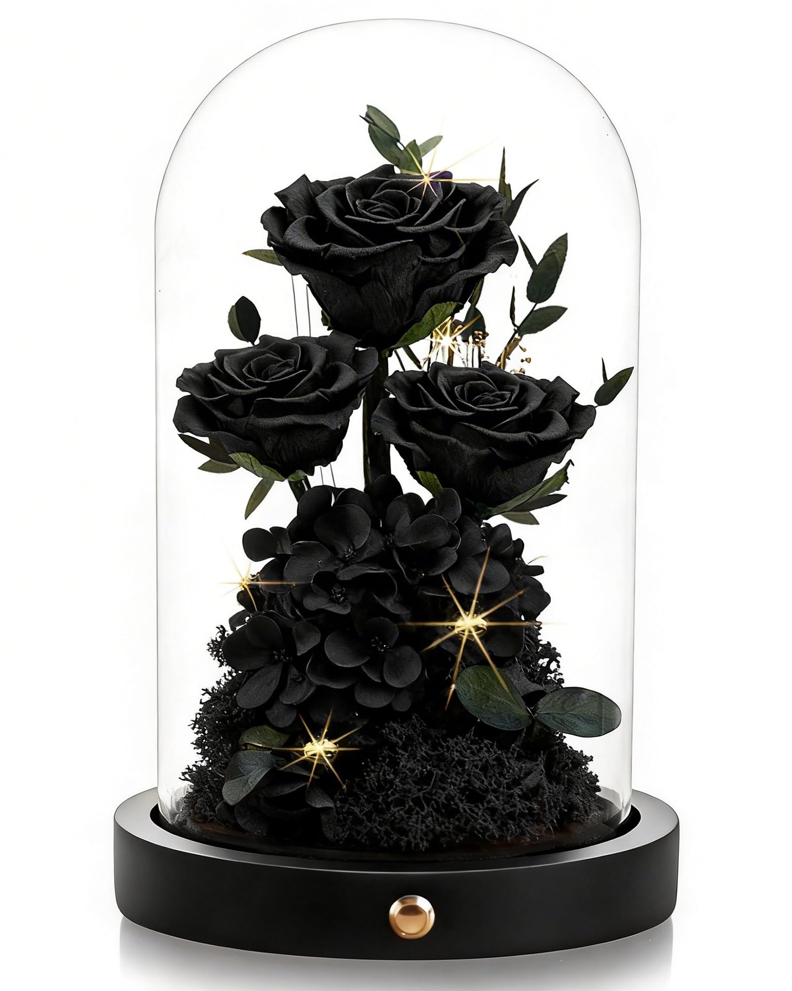 Agrul Preserved Rose in Glass Dome