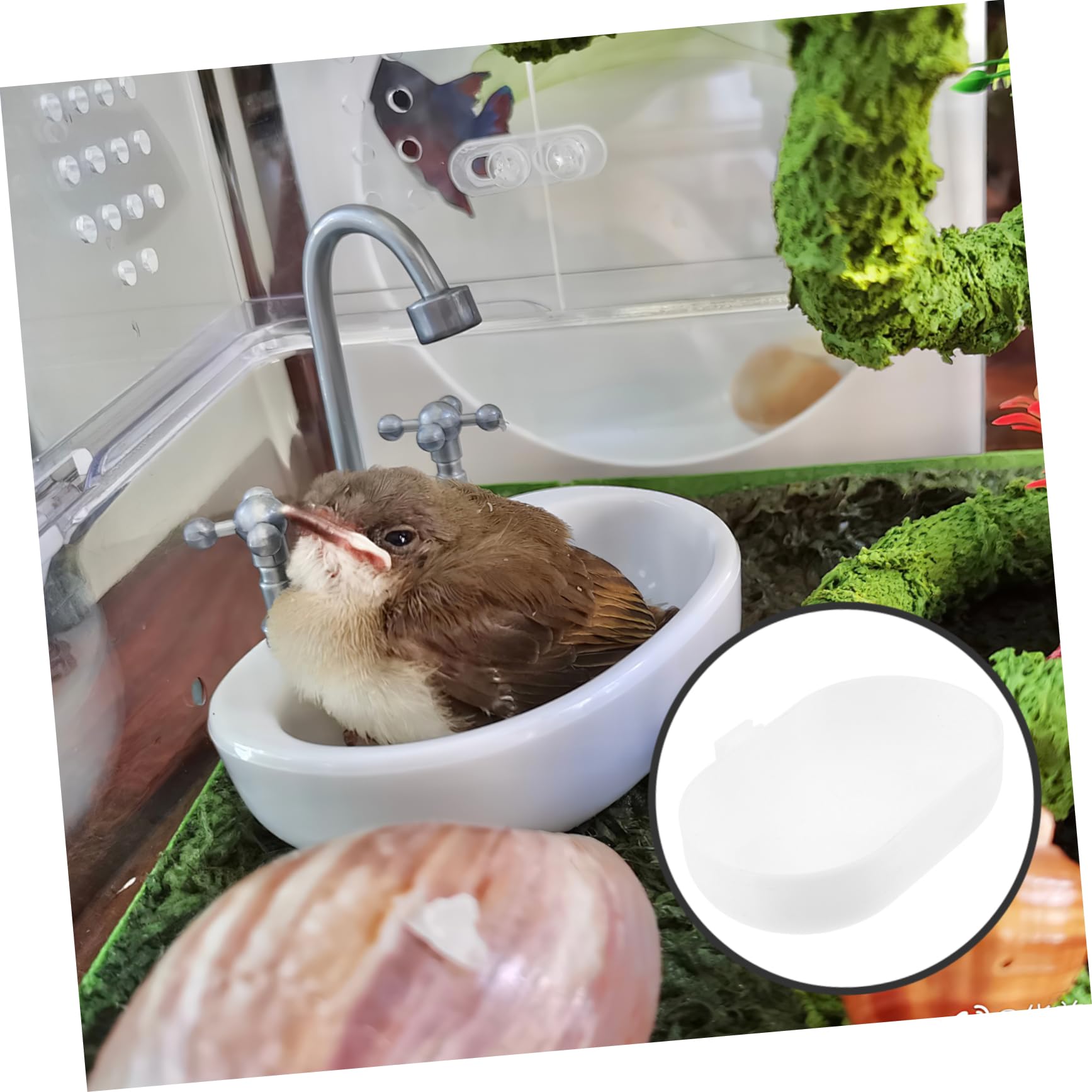 BESPORTBLE 25pezzi Vaschetta da Bagno per Uccelli con Design Semplice e Pratico Accessorio per Pappagalli e Parakeet Box Appeso per Gabbie di Uccelli Materiale Leggero e Resistente