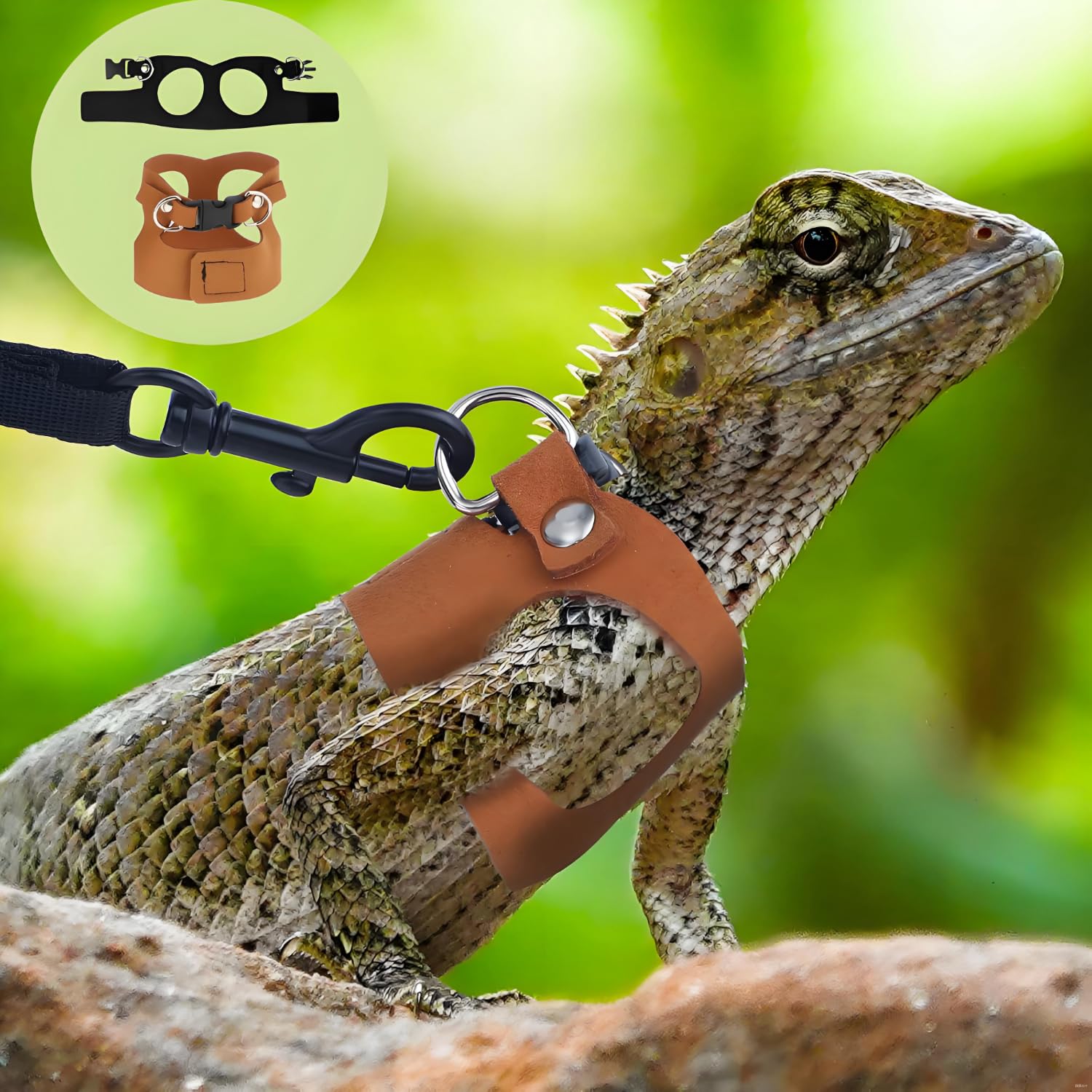 3 Pièces Cochon d'Inde Harnais, Ajustable Dragon Barbu Harnais Laisse, Laisse Réglable Lézard, Ensemble Dragon Barbu, pour Reptiles, Lézards Et Caméléons (Noir)