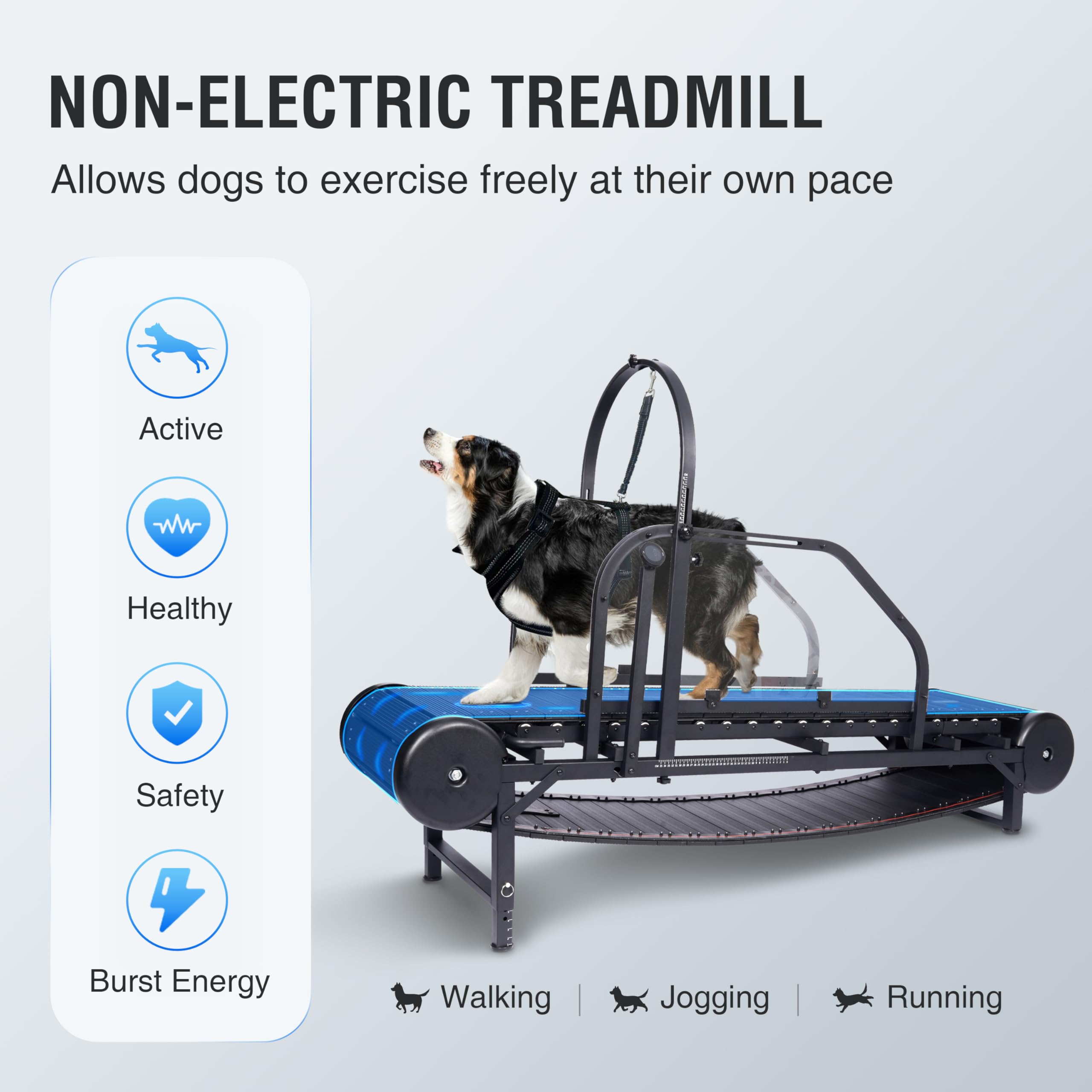 Amazon.co.jp: 大型犬、中型犬用犬用トレッドミル、調節可能なスロープ