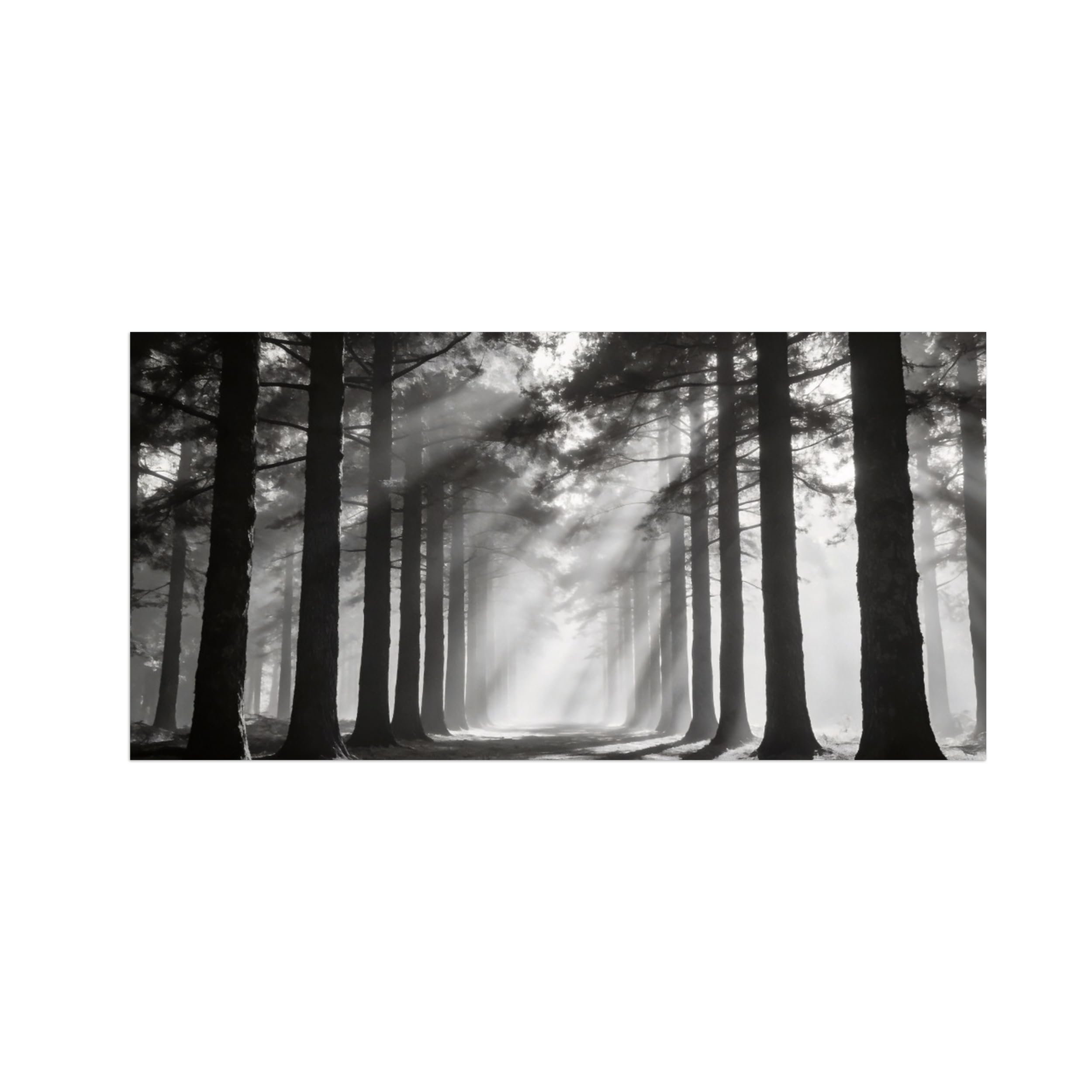 OZPWBVY Black and White Landscape Print Painting-Forest Tree 9-Minimalist Canvas Wall Art Picture for Home Decor 8x16in 20x40cm Unframed