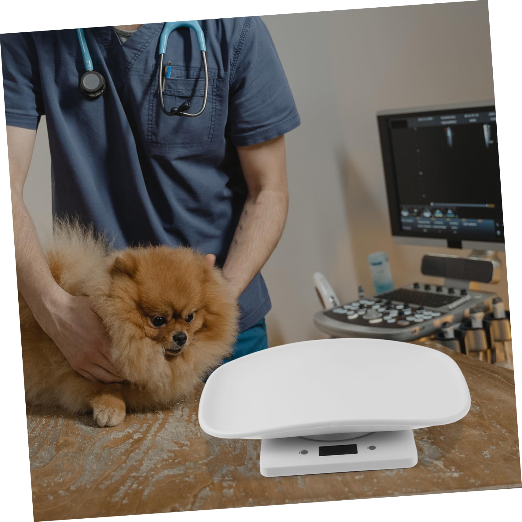 KOMBIUDA Bilancia Elettronica per Animali Domestici con Display LED Misurazione Precisa per e Gattini Design Pesare e Medicinali per Animali