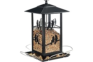 Vivace Outdoor Hanging Metal Bird Feeder with Perches