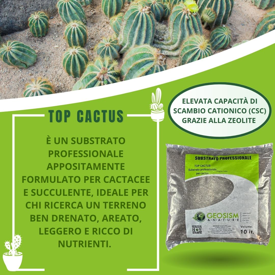 GEOSISM & NATURE - Terriccio per piante grasse, terriccio cactus, substrato professionale per cactacee e succulente, ideale per un terreno dreanto, areato, leggero e ricco di nutrienti (10 lt)
