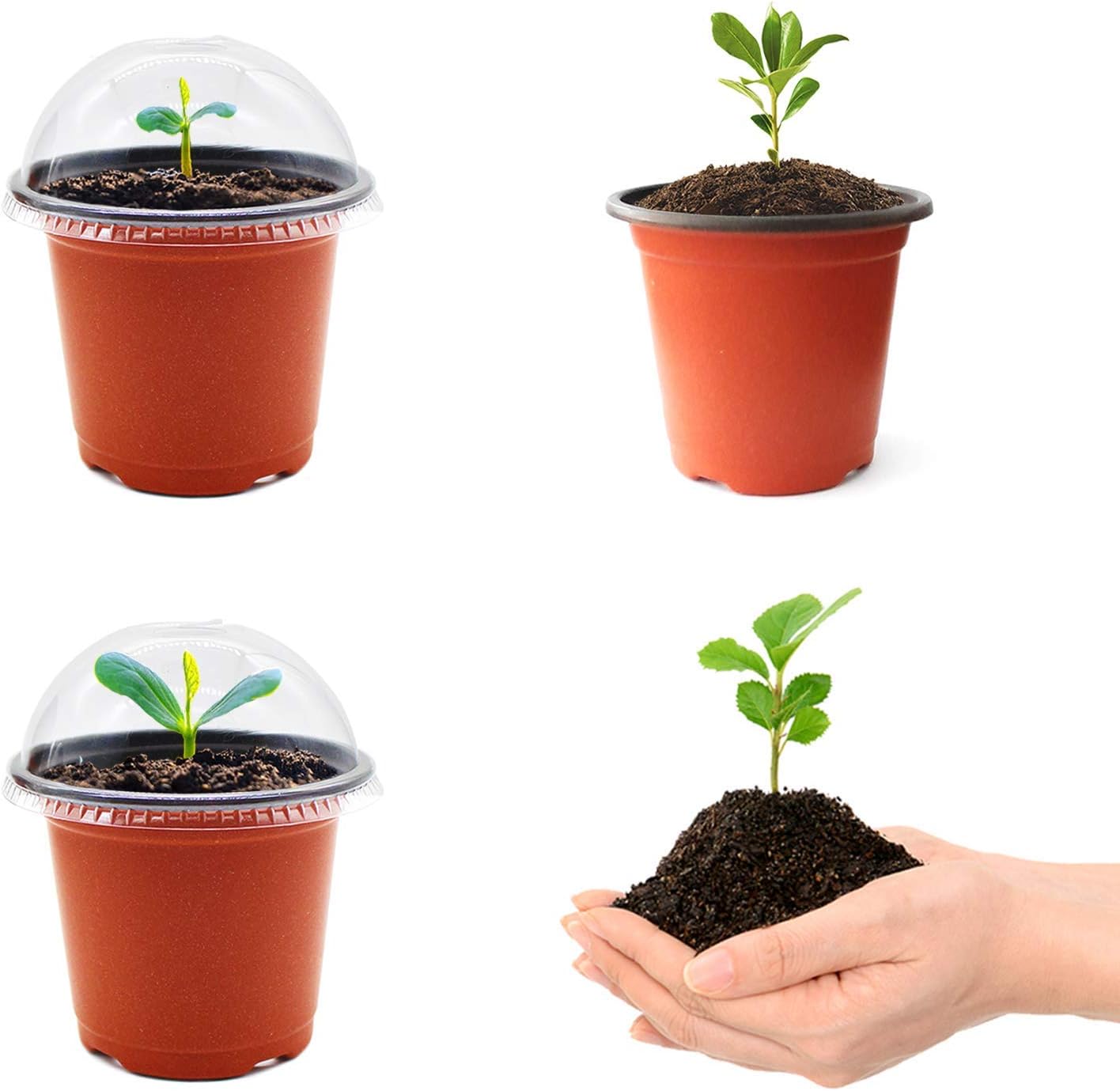 QPEY Seed Starter Tray with Humidity Dome,30 Kits Resuable Planting Nursey Pots Seedling Trays Seed Starter Kit for Seedling Flower Plant,Plant Container Cups with Vented Domes and Drain Holes