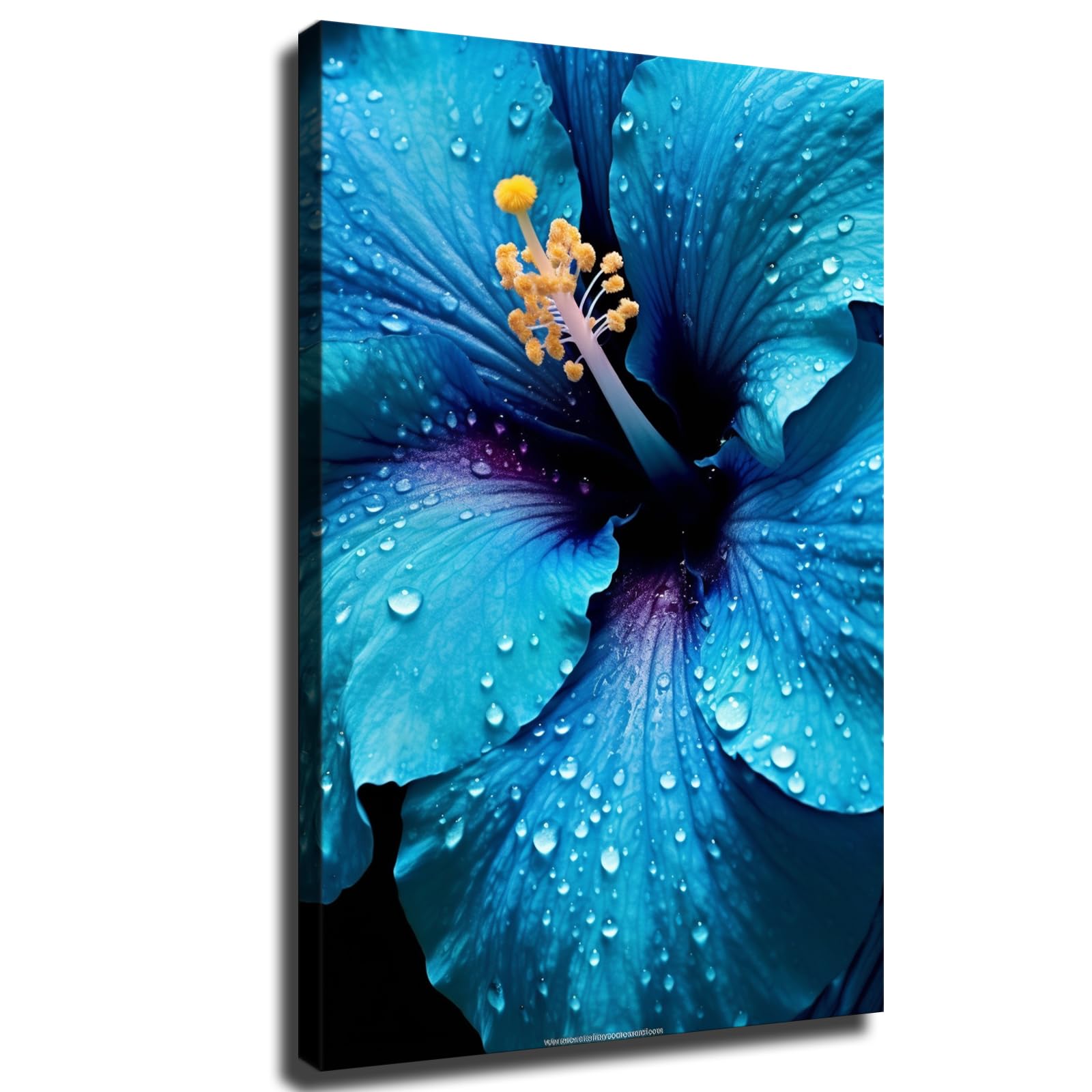 KJoet Dew Drops on Blue and Turquoise Hibiscus Petals Canvas Poster Wall Art Decor Print Picture Paintings for Living Room Bedroom Decoration (08x12inch,Framed)