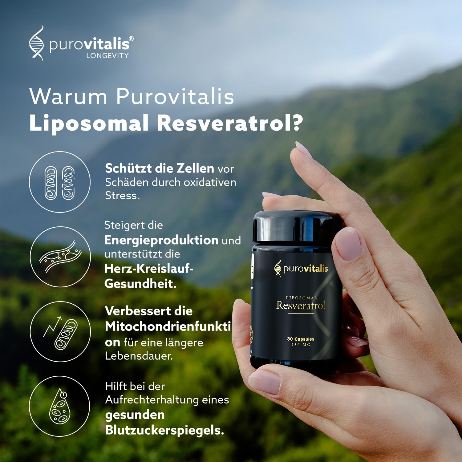 PUROVITALIS Liposomales Trans-Resveratrol 250mg, mikronisiert, 30 Kapseln | Hochreines Antioxidans aus Staudenknöterich, 99% rein; Herzgesundheit; 1-Monatsvorrat, glutenfrei, GMP, vegan