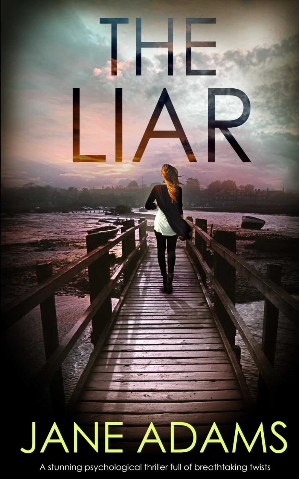 THE LIAR a stunning psychological thriller full of breathtaking twists: 4 (Detective Mike Croft)
